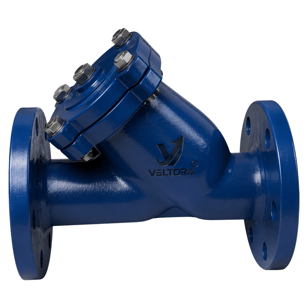 Y Type Strainers